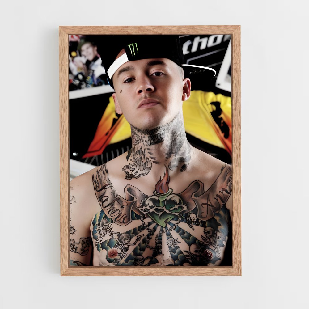Poster Jeremy stenberg – affiche Motocross freestyle (vue 4)